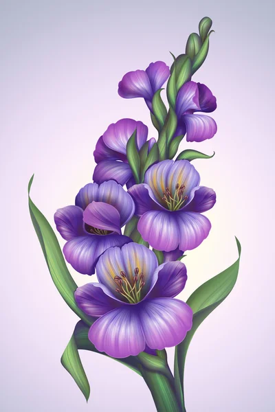 Illustrazione di fiori viola — Foto Stock