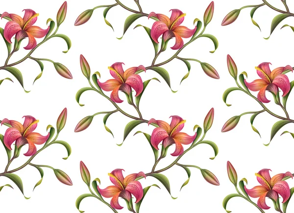 Tropische Blume Muster Hintergrund — Stockfoto