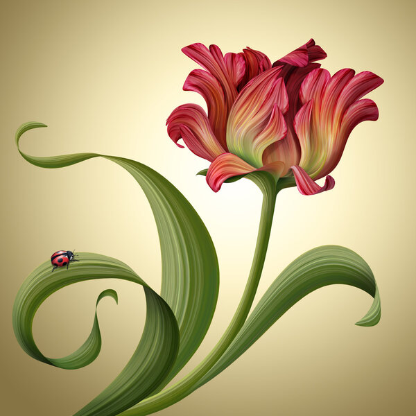 Red tulip flower with ladybug sitting on green curly leaf — Stock Photo, Image
