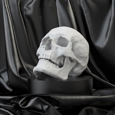 3D anatomik kafatası modeli