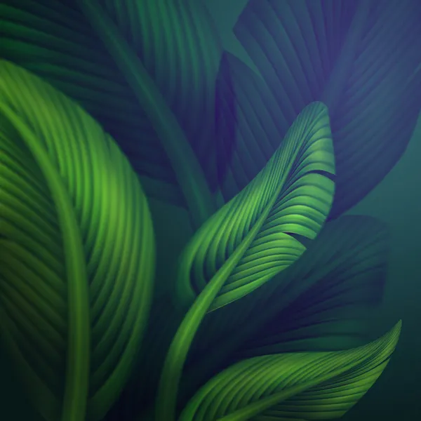 Tropic jungle leaves background — Stock Photo, Image