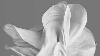3D görüntüleme, yüzen beyaz kumaşlı soyut arkaplan, tekstil makrosu olan moda duvar kağıdı