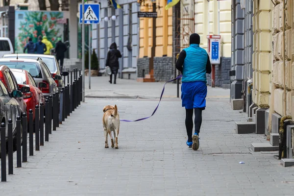 LVIV, UKRAINE - Şubat 2022: Lviv caddesinde Labrador köpeğiyle koşan adam.