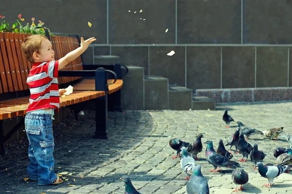 Menino pequeno alimentando pássaros na praça da cidade — Fotografia de Stock