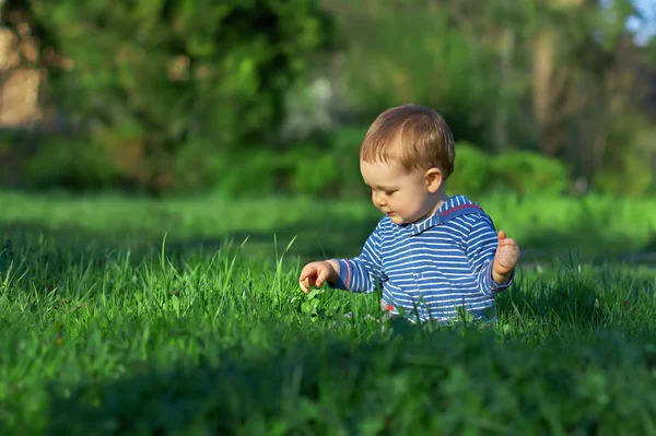 Hermoso bebé niño sentado entre hierba verde en el césped de primavera — Foto de Stock