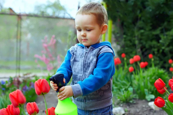 Cute baby boy irrigating flowers in colorful garden — Stock Photo, Image
