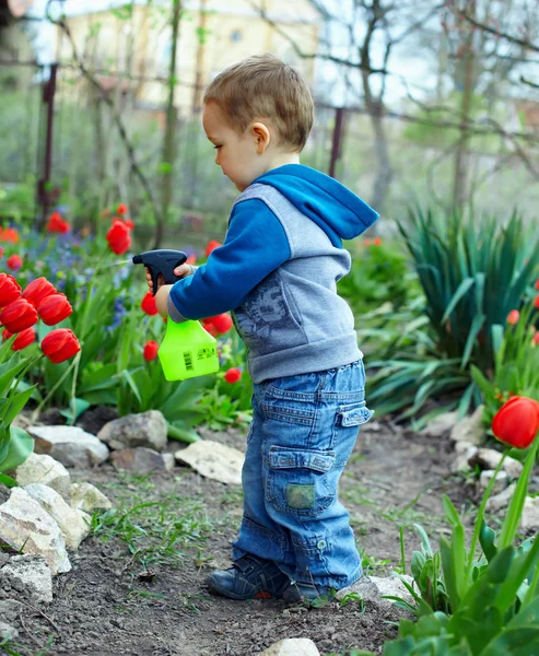 Cute baby boy irrigating flowers in colorful garden Stock Photo