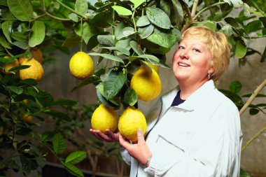zengin hasat ve en iyi meyve serada seçerek kadın