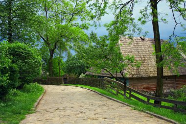 highland spring adlı Ukraynalı Köyü eski sokakta