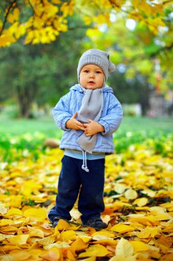 şirin bebek çocuk sonbahar Park düşen yapraklar arasında duruyor.