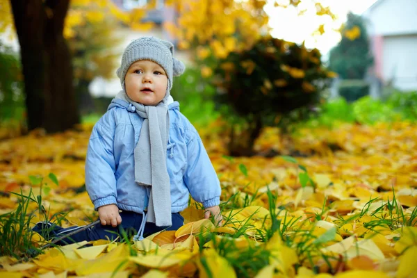 Bonito menino entre as folhas caídas no parque de outono — Fotografia de Stock