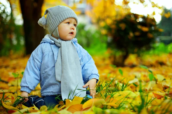 Netter kleiner Junge zwischen umgefallenen Blättern im Herbstpark — Stockfoto