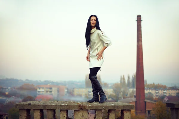 Mulher morena atraente posando no telhado na paisagem urbana — Fotografia de Stock