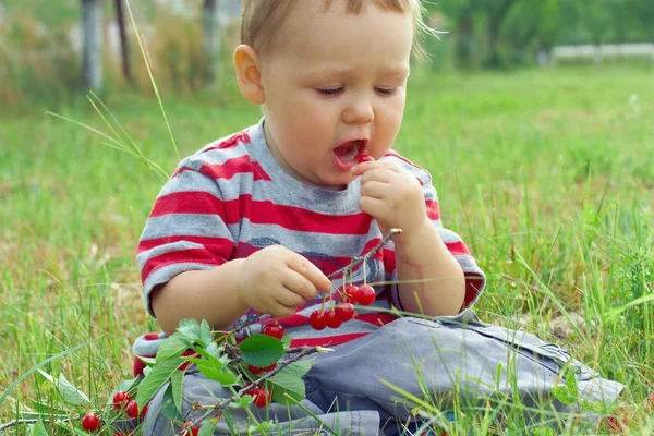 Menino bonito, comendo cereja madura fresca enquanto está sentado na grama — Fotografia de Stock