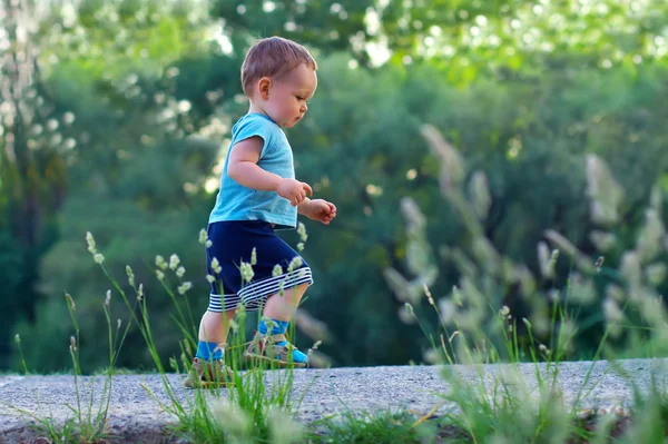 Primi passi di bambino carino sul sentiero tra i verdi — Foto Stock