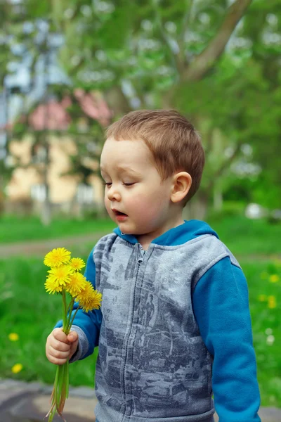 Χαριτωμένο αγοράκι φτερνίσματος κρατώντας ένα μπουκέτο λουλούδια πικραλίδα στο πάρκο άνοιξη. — Φωτογραφία Αρχείου