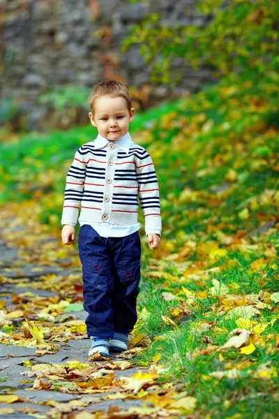 Милый маленький мальчик, гуляющий в осеннем парке — стоковое фото