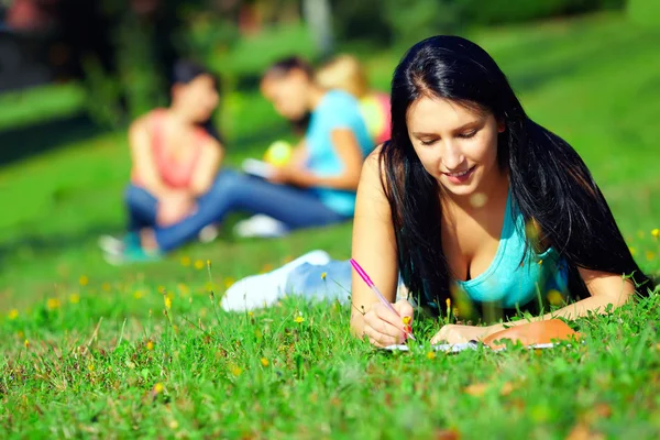 Mooie student op kleurrijke zonnige gazon — Stockfoto