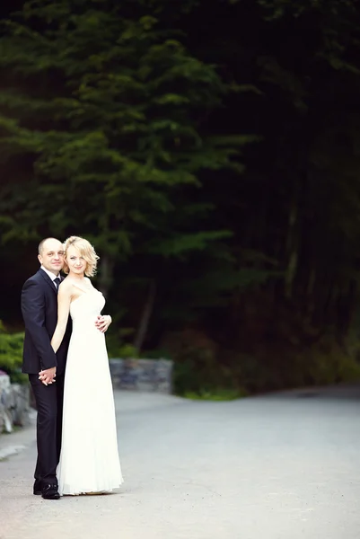 Beautiful wedding couple portrait, outdoors — Stock Photo, Image