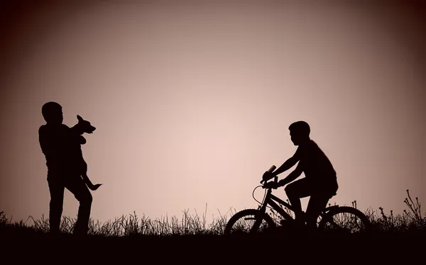 Silhouette of teenage boys on the field — Stock Photo, Image