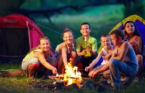 Gruppe fröhlicher Kinder braten Marshmallows am Lagerfeuer — Stockfoto