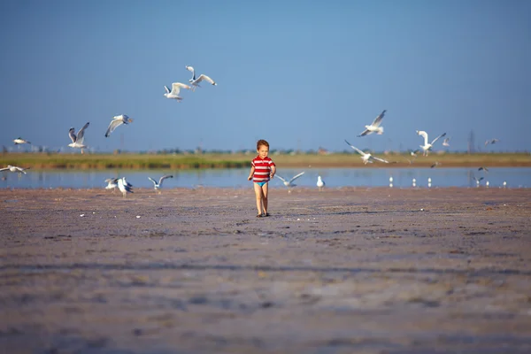 Garoto feliz correndo lago firth com gaivotas — Fotografia de Stock