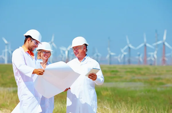 Des scientifiques discutent d'un projet de centrale éolienne — Photo