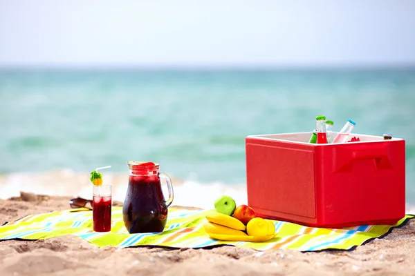 Пикник на пляже — стоковое фото