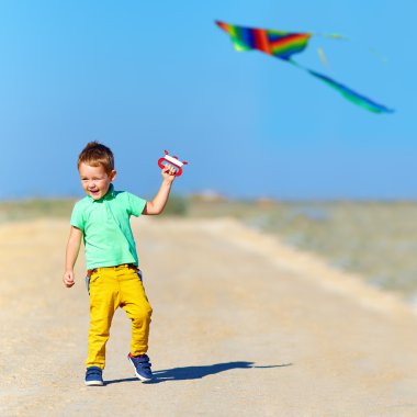 uçurtma ile yaz sahada oynayan mutlu çocuk
