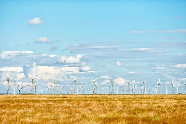 Rader av vindkraftverk på power station — Stockfoto