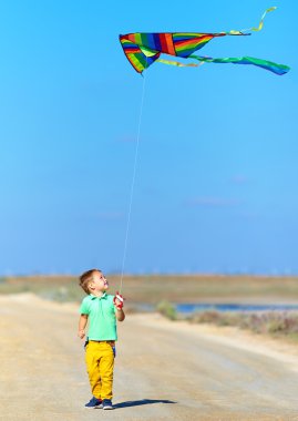uçurtma ile yaz sahada oynayan mutlu çocuk