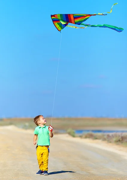 Szczęśliwy chłopiec bawi się latawca na lato pole — Zdjęcie stockowe