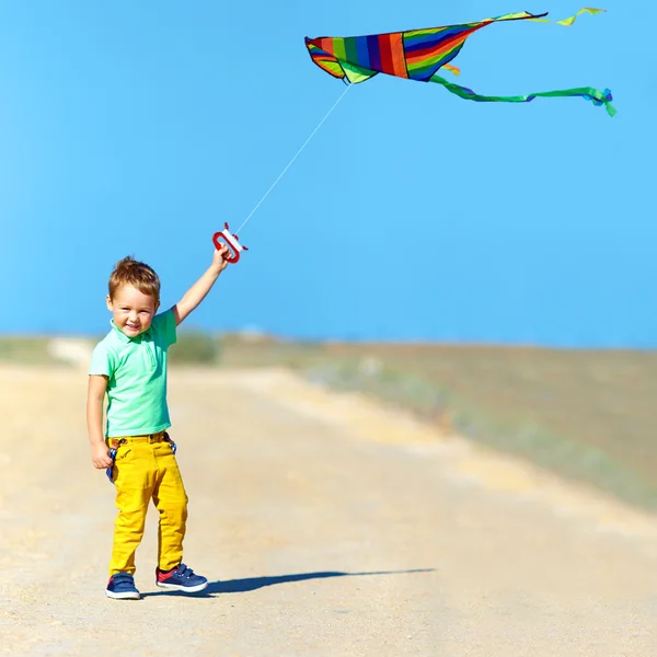 夏の畑に凧と一緒に遊んで幸せな少年 — ストック写真