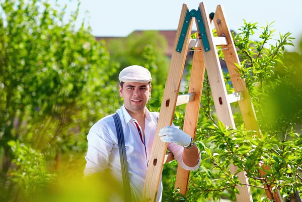 Jardineiro na escada cuida de árvores — Fotografia de Stock
