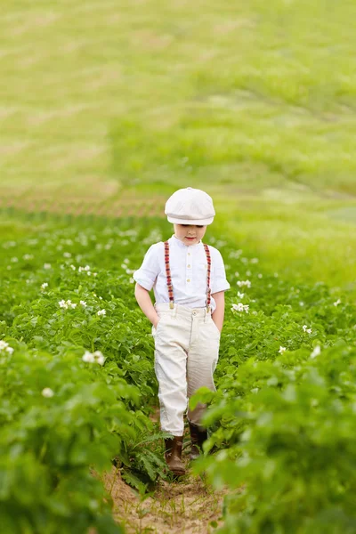 Menino agricultor bonito andando através das linhas de batata — Fotografia de Stock