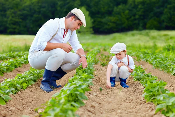 Pai e filho jardinagem em sua propriedade — Fotografia de Stock