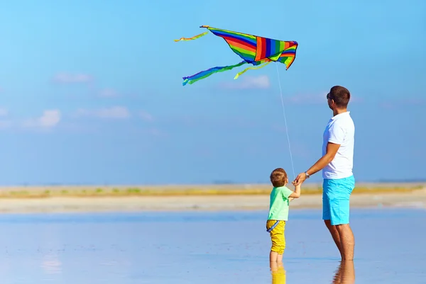 Family playing with kite, summertime — Stock Photo, Image