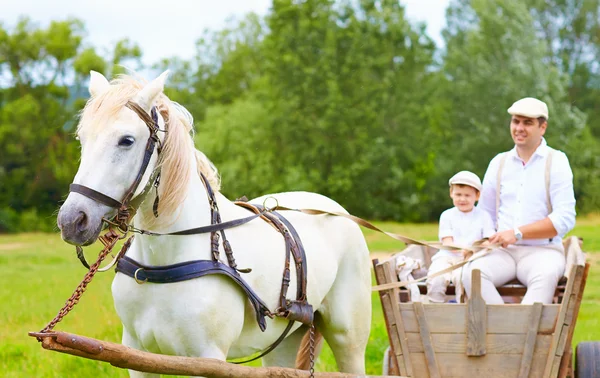 Bondefamilj rida en häst-vagn. fokusera på häst — Stockfoto