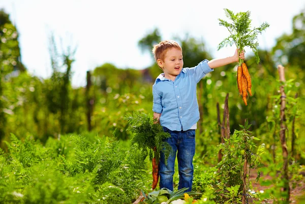 Mladý chlapec s mrkví, užívat si života na venkově — Stock fotografie
