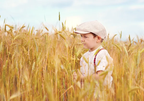 Симпатичный мальчик, идущий по пшеничному полю — стоковое фото