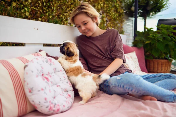 Menino Está Divertindo Com Cachorro Pátio Verão — Fotografia de Stock