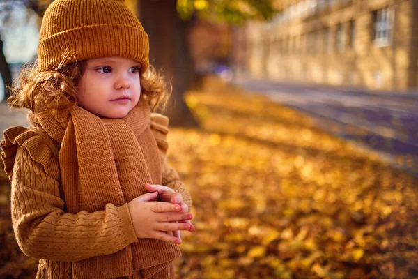 Bir Sonbahar Parkında Yürüyen Küçük Tatlı Bir Kızın Küçük Ellerinde — Stok fotoğraf