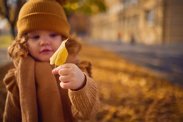 Fallen Leaf Tiny Hand Cute Baby Girl Walks Autumn Park — Stock Photo, Image