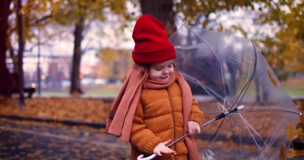 Söt Småbarn Flicka Med Paraply Promenader Höstgatan Staden — Stockvideo