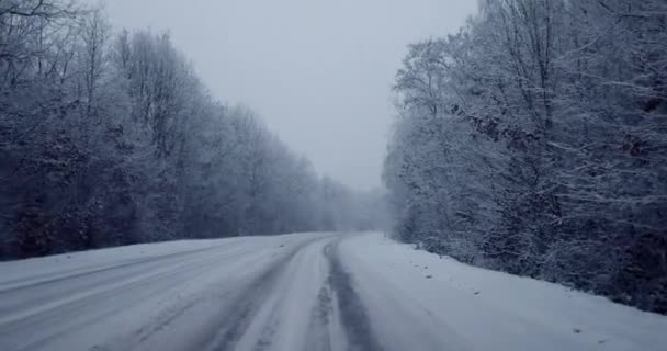 在大雪中驾驶着汽车在冬天的路上穿越白雪覆盖的森林 — 图库视频影像