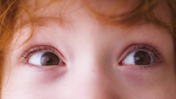 Curious Eyes Mischievous Redhead Boy Years Old Kid — Stock Video