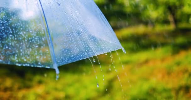 Les Gouttes Pluie Coulant Sur Parapluie Dans Parc Printemps — Video