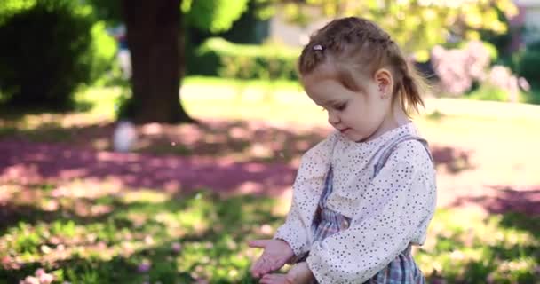 Liten Flicka Som Leker Med Blommor Vår Trädgård — Stockvideo