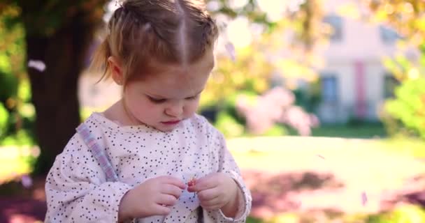 Niña Divirtiéndose Jugando Con Flores Jardín Primavera — Vídeo de stock