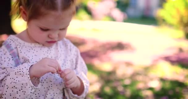 Kleines Mädchen Hat Spaß Beim Blütenspiel Frühlingsgarten — Stockvideo